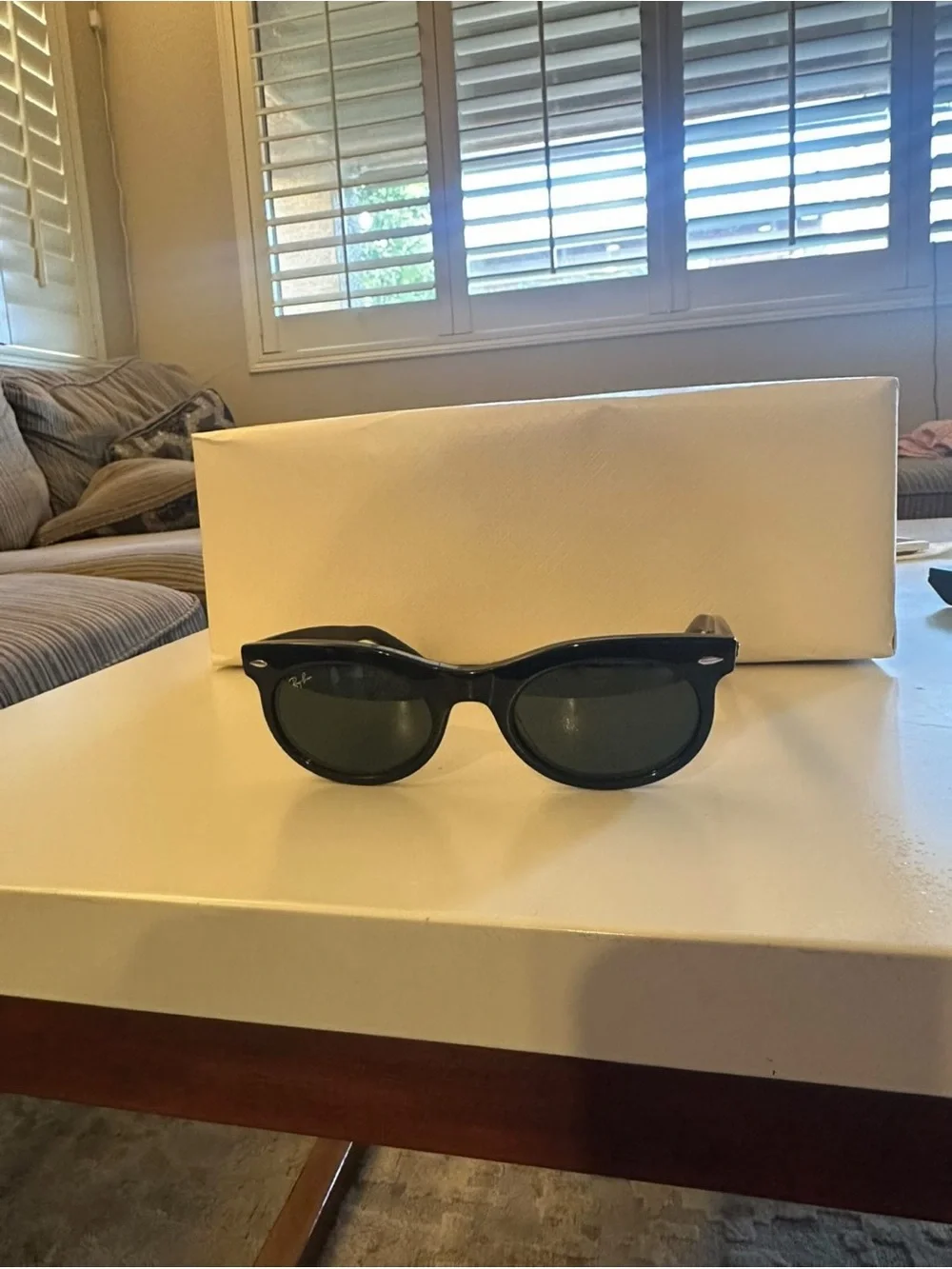 Ray-Ban Oval Wayfarer Black Frames with Green Lenses Sunglasses with a case